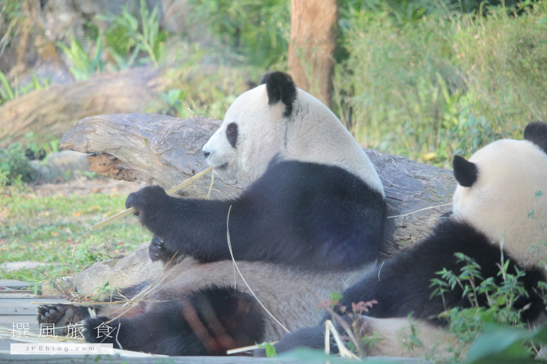 【台北活動】台北市立動物園「生物多樣性攝影展」照片投稿活動，快來分享動物攝影作品吧