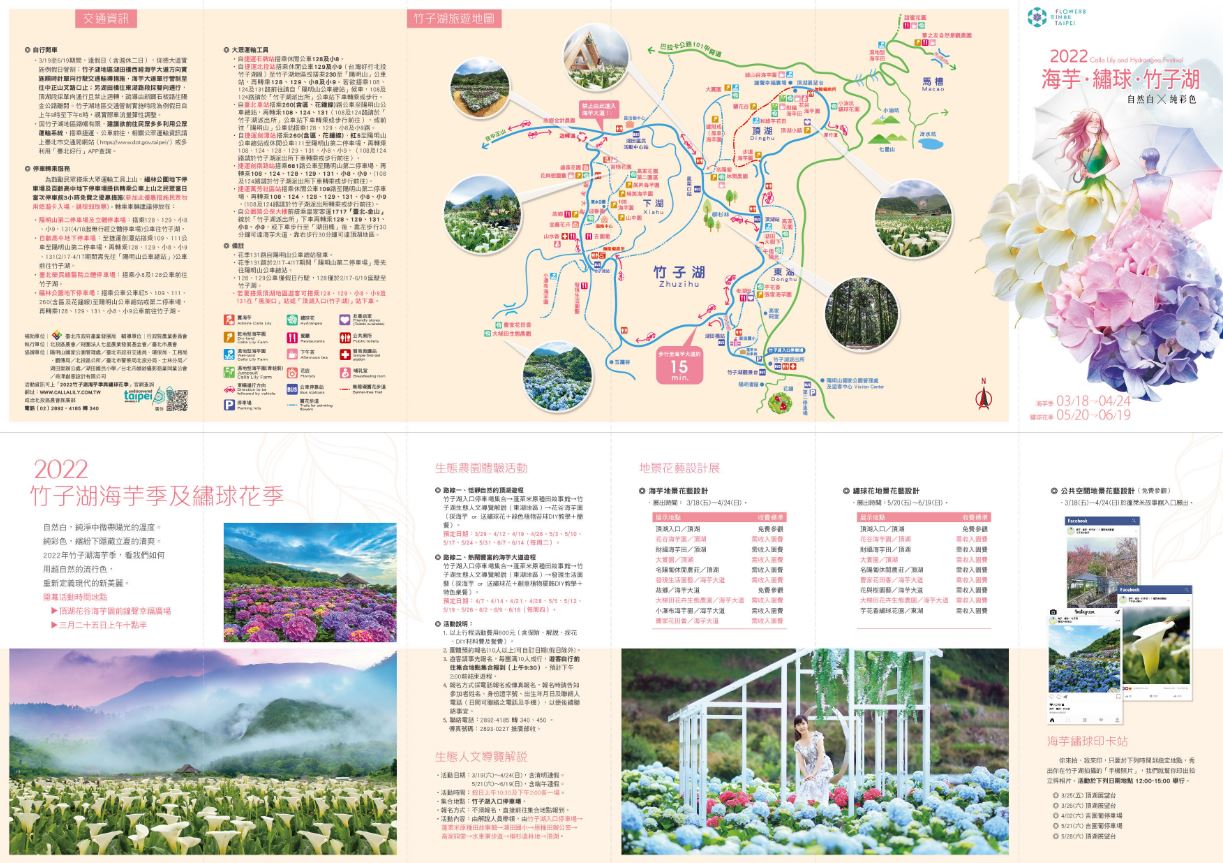 陽明山紫色浪漫！「2022竹子湖繡球花季」開跑，雲霧裡還有純彩色音樂會