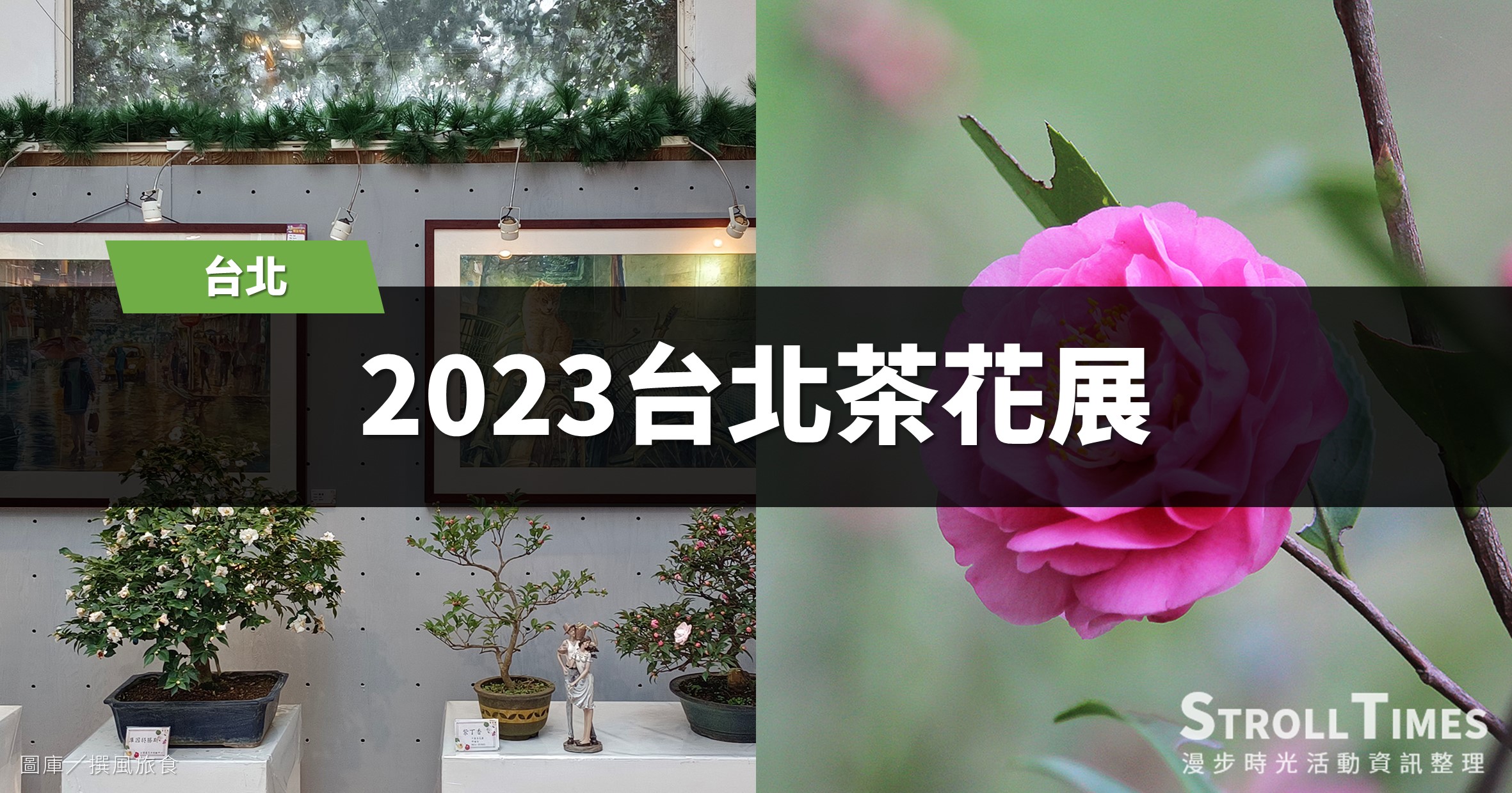 台北花季》2023台北茶花展「看見花開」