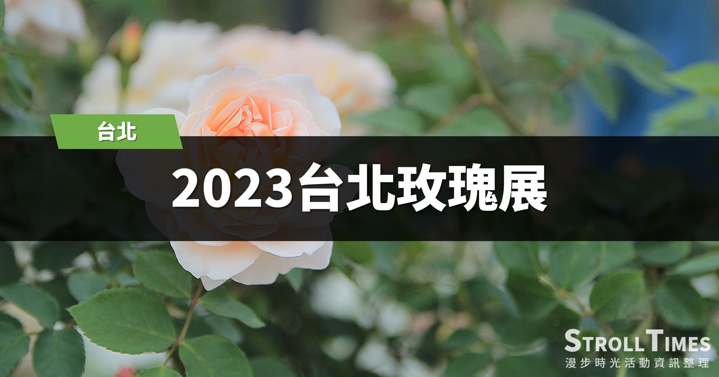 台北花季》2023臺北玫瑰展：800個品種5000株就在花博新生公園